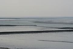 Wattenmeer Sandwatt Schlickwatt Nordsee